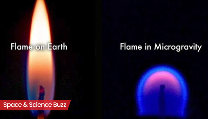 Science & Space Roundup: Top News of the Day (Oct 30)